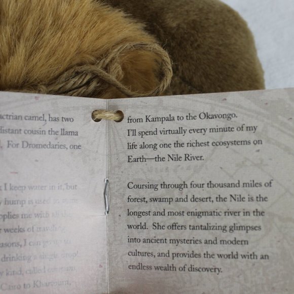 The Discovery Channel Ladybug Brand Plush Stuffed Baby Camel With Tag One Hump - Picture 6 of 13